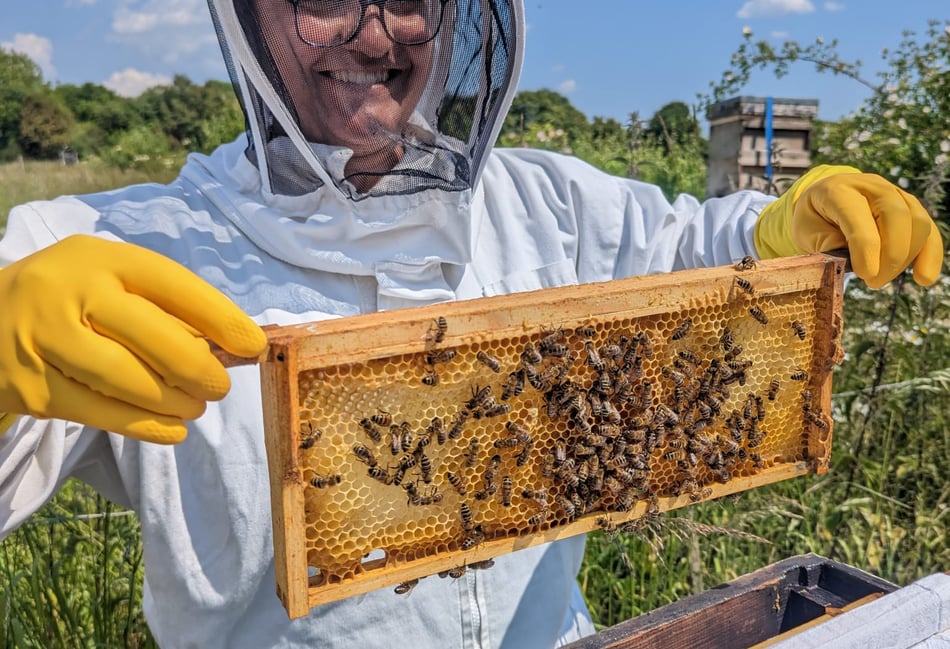 <p>Bex with her hands full at a World of Bees workshop (Photo: Hive Helpers)</p>