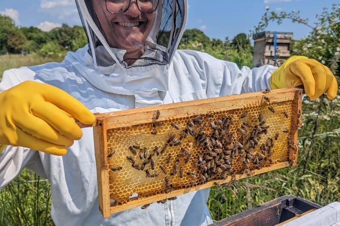 Bex with her hands full at a World of Bees workshop (Photo: Hive Helpers)