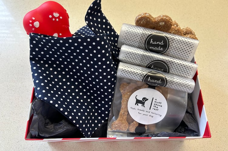 A doggie birthday box made by a Mutt Above The Rest.