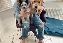 Meet Orla, the student entrepreneur who is selling dog treats to go to Peru