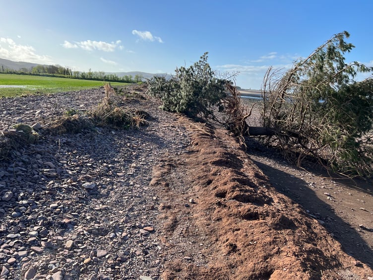 Trees were uprooted along the Dunster to Blue Anchor coastline.