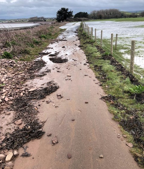 Shingle and water covering parts of the Steam Coast Trail.