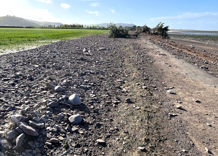 Devastation on the Steam Coast Trail after this week's storm.