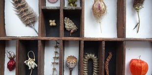Exhibition of the natural world at Gilbert White's House and Gardens