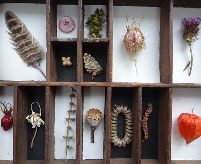 Exhibition of the natural world at Gilbert White's House and Gardens