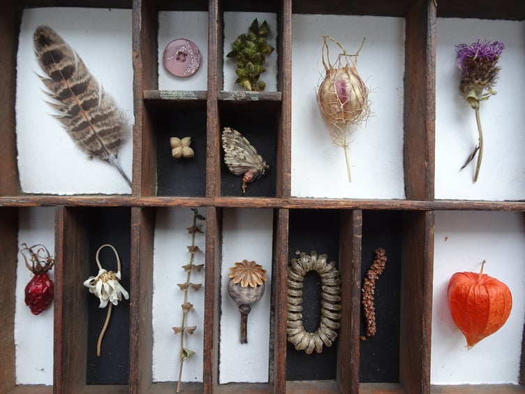 Artwork by Jacqueline Amies.