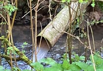 More sewage discharged into the River Wey in Farnham, Bentley and Crondall