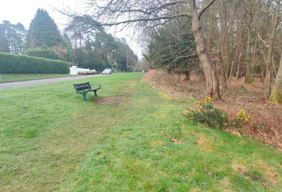 <p>The location of Haslemere's proposed Churt Road wildflower verge </p>