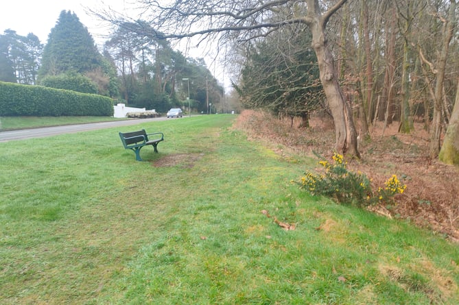 The location of Haslemere's proposed Churt Road wildflower verge