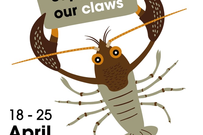 Marwell's 'Save our claws campaign' has set out to raise £20,000 in just one week by doubling public donations through the Big Give Campaign