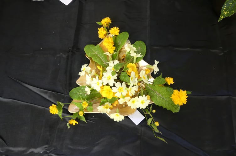 Frensham and Dockenfield Horticultural Society spring show 2024