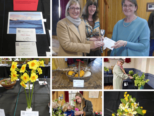 Home Industries wins top award at Frensham and Dockenfield spring show