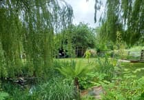 Explore fauna and flowers as Phyllis Tuckwell's popular Open Gardens event returns
