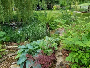 Phyllis Tuckwell's popular Open Gardens event returns