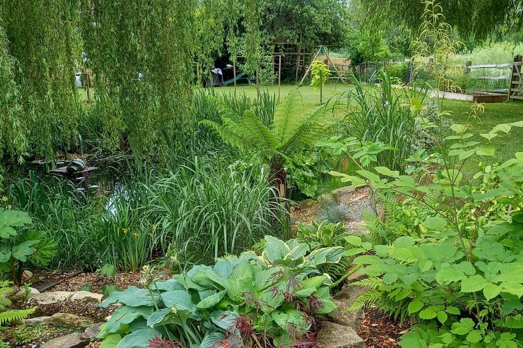 Phyllis 2024 open garden event