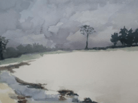 Nature watercolour painting course proves very popular