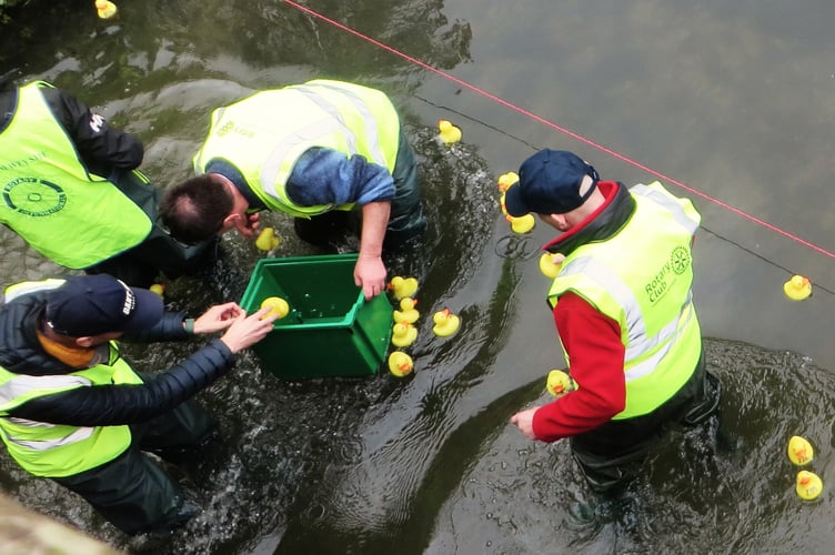 Great Farnham Duck Race 2024