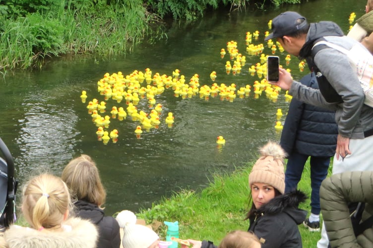 Great Farnham Duck Race 2024