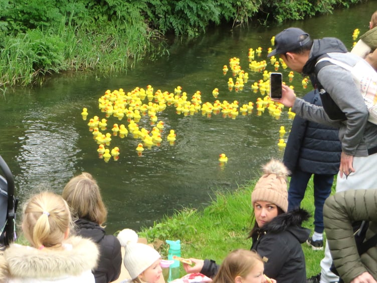 Great Farnham Duck Race 2024