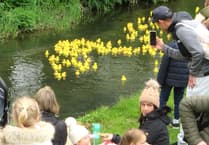 Live streaming as tickets go on sale for Great Farnham Duck Race