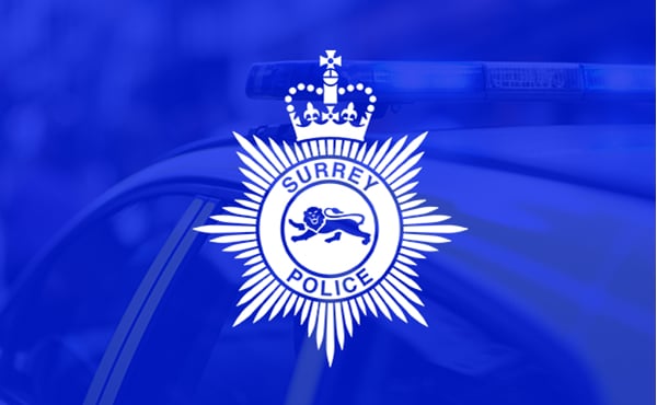 <p>Surrey Police are appealing for witnesses to an alleged assault.</p>