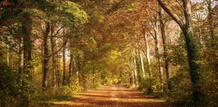 South Downs photography competition returns with £100 top prize