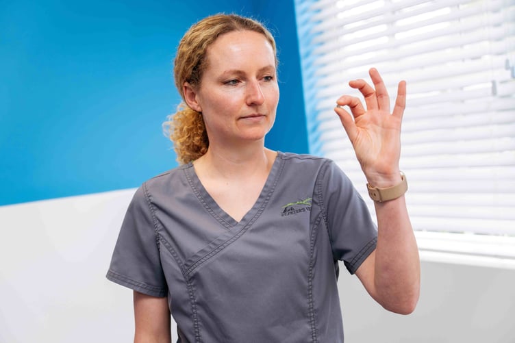 A button battery similar to the one Warrior swallowed