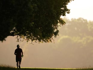 Adults in Waverley are more active than their neighbours
