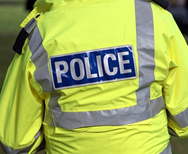 Dog walker punched in Farnham Park assault