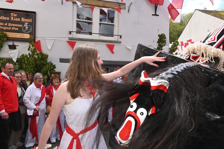 Grace prepares to tease the Red Oss. (Picture: Adrian Jasper)