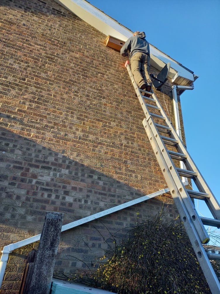 Hampshire Swifts installs a swift nest box on ACAN trustee Phinna Brealey’s house, May 2024.