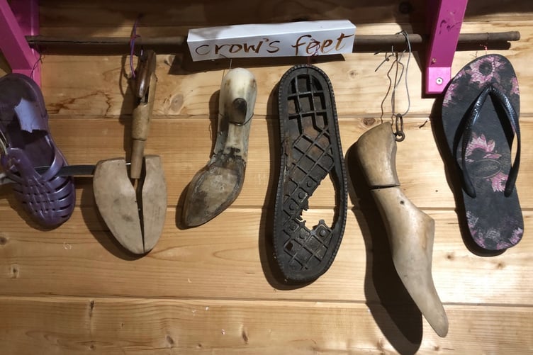 Crow's Feet Exhibition