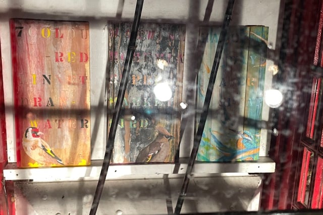 Crow's Feet in headlights