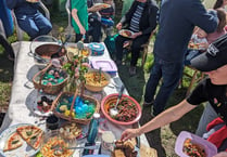 Sustainability Festival coming to Gostrey Meadow