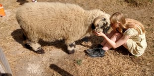 Change of scene for Rowledge charity as new home secured