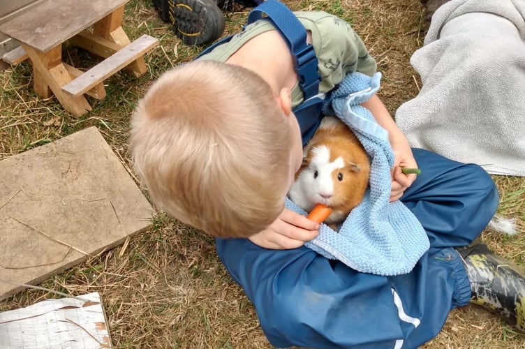 The animals help to provide young people with support and learning