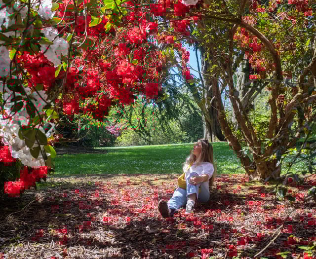 Spring has sprung at Trelissick
