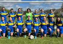 Petersfield under-14 Whirlwinds girls win Hampshire Division Two title