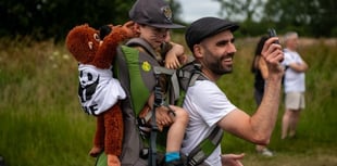 Great wild walk in Surrey forest this weekend