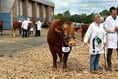 PICTURES: Devon County Show 2024