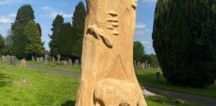 New life as sculptures for two felled trees