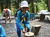 Beavers go wild at activity centre