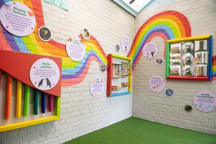 Birdworld interactive play at Love + Colour