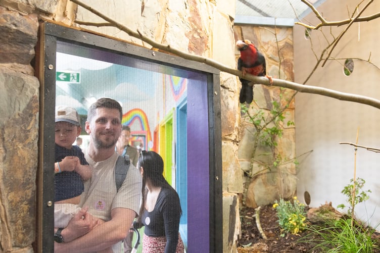 Adult and Child enjoying Birdworld's new exhibit