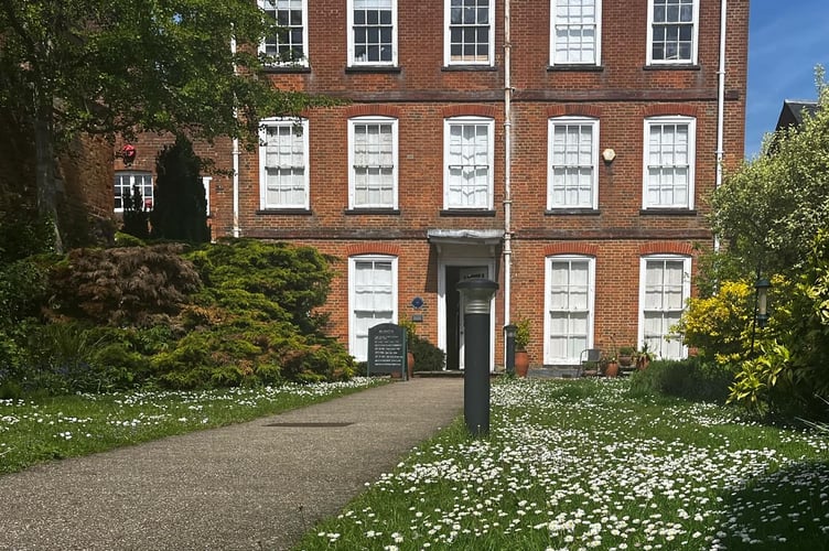 Museum's lawns are covered in wild daisies 