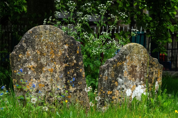 The churchyard demonstrates how nature can thrive if left alone