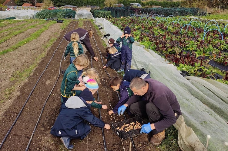 Farnham Community Farm.