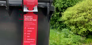 Changes to EHDC bin collections over Christmas and New Year