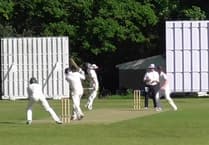 Former professional Oliver Hayley hits 88 off 34 balls to beat Farnham