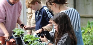 Children in Bourne ward create plant display